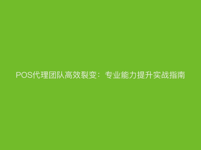 POS代理团队高效裂变：专业能力提升实战指南
