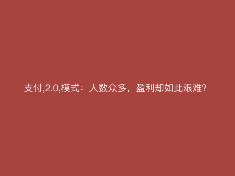 支付,2.0,模式：人数众多，盈利却如此艰难？