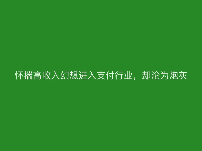 支付官预警：怀揣高收入幻想进入支付行业，却沦为炮灰