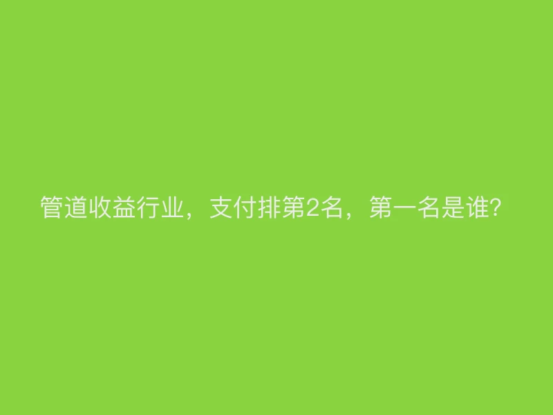 管道收益行业，支付排第2名，第一名是谁？
