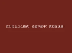 支付行业,2.0,模式：还能不能干？真相在这里！