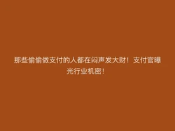 那些偷偷做支付的人都在闷声发大财！支付官曝光行业机密！