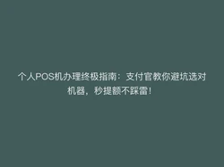 个人POS机办理终极指南：支付官教你避坑选对机器，秒提额不踩雷！