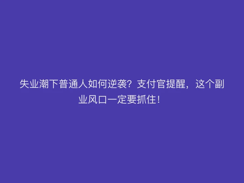 失业潮下普通人如何逆袭？支付官提醒，这个副业风口一定要抓住！