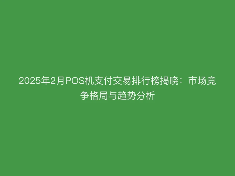 2025年2月POS机支付交易排行榜揭晓：市场竞争格局与趋势分析