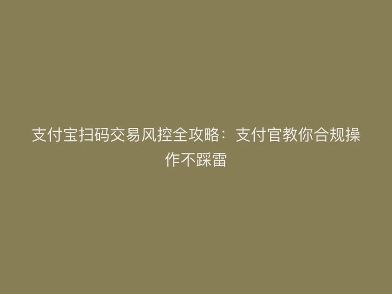 支付宝扫码交易风控全攻略：支付官教你合规操作不踩雷