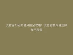 支付宝扫码交易风控全攻略：支付官教你合规操作不踩雷