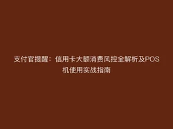 支付官提醒：信用卡大额消费风控全解析
