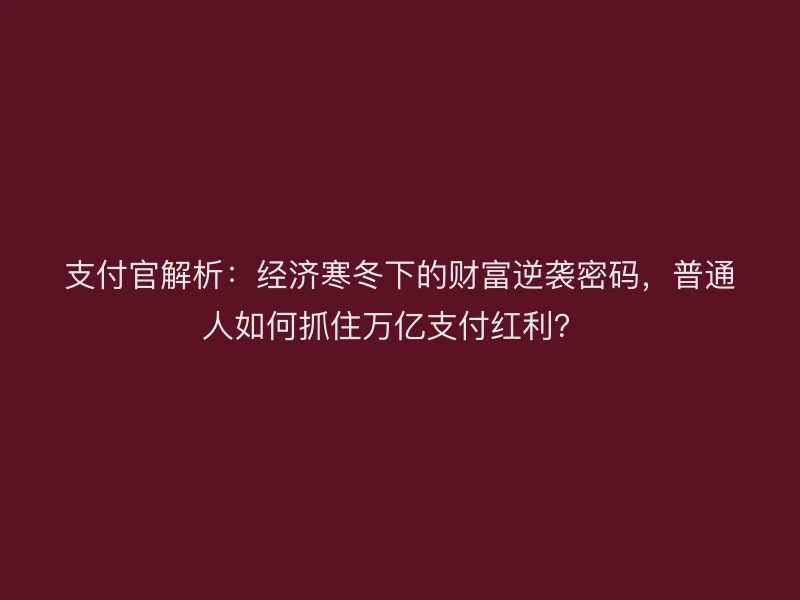 支付官解析：经济寒冬下的财富逆袭密码，普通人如何抓住万亿支付红利？ 