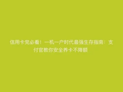 信用卡党必看！一机一户时代最强生存指南：支付官教你安全养卡不降额 